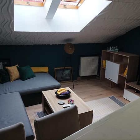 Apartament Ram1 Nowy Sad Zewnętrze zdjęcie